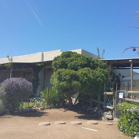 The Stables Accommodation Langebaan Ngoại thất bức ảnh